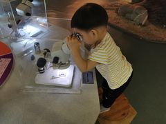 -陕西自然博物馆