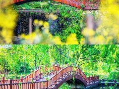 -黄陂区野村谷景区