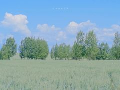 -成都梵高星空艺术馆(春熙路旗舰店)