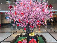 -南京维景国际大酒店(南京博物院店)