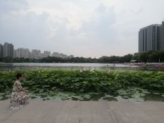 -南翔镇银翔湖公园