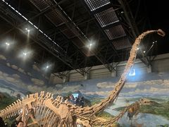 -自贡恐龙博物馆