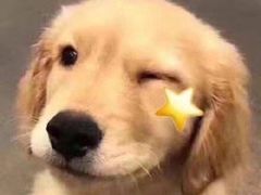 -四环冷面王(西单华威约饭街店)