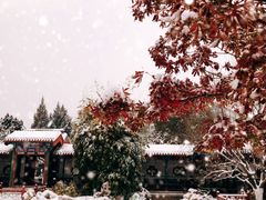 -月坛公园