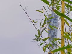 -小茶闲舍·观景商务茶馆(广州塔店)