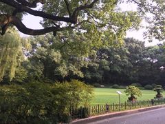 -申粤轩酒楼·三十年粤菜经典(丁香花园店)