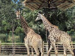 -水上乐园·欢乐世界