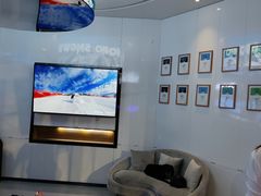 -Hopo Snow 城市滑雪空间(来福士广场购物中心店)