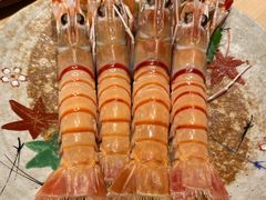 -鲤·鮨KOISUSHI