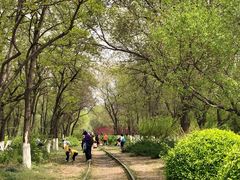 -永定河休闲森林公园