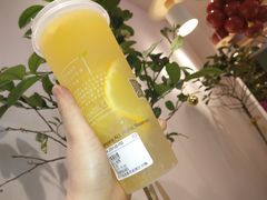 -树夏(金楠天街店)