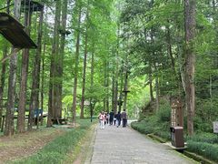 -灵栖洞天