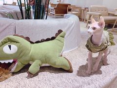 -藏猫猫咖啡主题馆(中央大道店)