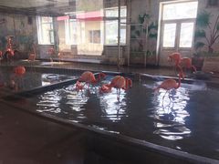 -哈尔滨北方森林动物园
