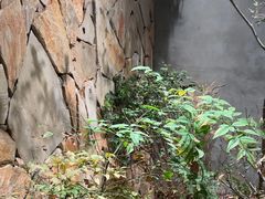 -森SPA·泰式按摩·精油Massage(宝安中心店)