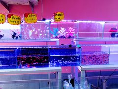 -中环花鸟鱼虫市场