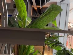 -湊湊火锅·茶憩(皇姑万象汇店)