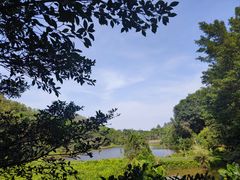 -番禺大夫山森林公园
