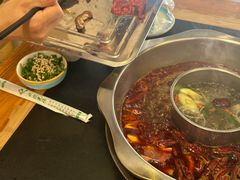 -金鼎雪山牦牛杂火锅(理县总店)