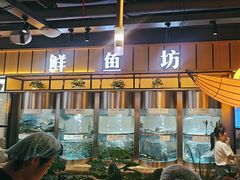 -老船舫·现做活鲜鱼馆(东郊记忆店)