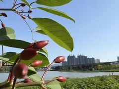 -琅岐红光湖公园
