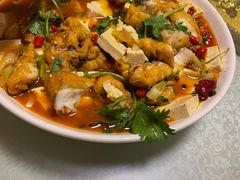 -煲来饱去冷水鱼