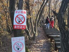 -帽儿山国家森林公园