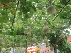 -姥家大锅台水库渔家