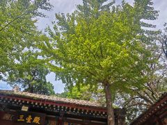 -少华山国家森林公园