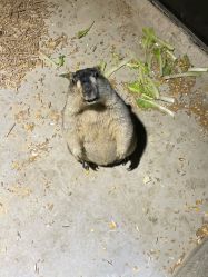 -酷嗒动物文化乐园(cutezoo西溪乐天城店)