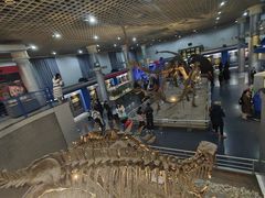 -国家自然博物馆