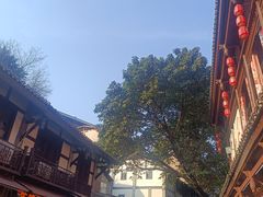 -胖娃古镇鸡杂(磁器口总店)