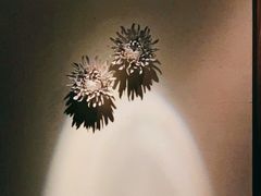 -Dragonfly悠庭·按摩Spa(静安嘉里中心店)