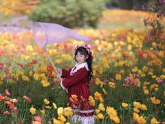-鹅湖玫瑰文化园
