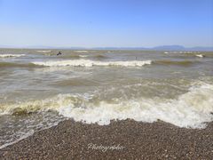 -捞渔河湿地公园