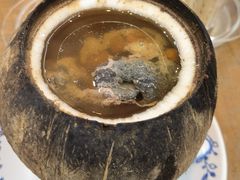 原只椰子炖竹丝鸡-達揚原味燉品(文明路店)