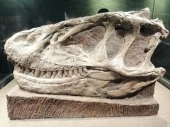 -自贡恐龙博物馆