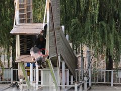 -北京鹿世界主题园