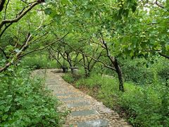 -竹泉村旅游度假区