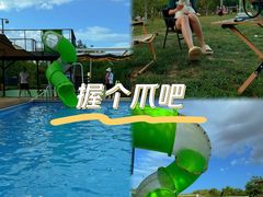 -爪吧宠物乐园·宠物泳池(温榆河示范区店)
