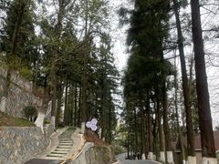-莫干山风景区