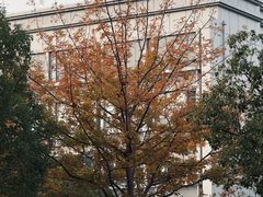 -新紫霞养生·影院足道·SPA(金山区店)