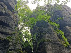 -梭布垭石林景区