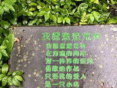-桂林古东瀑布景区