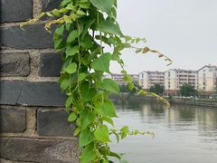 -相门城墙文化休闲景区