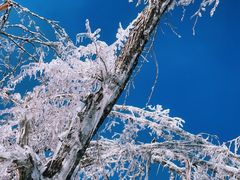 -中旅松花湖滑雪场