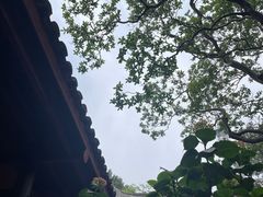 -剑门关风景区