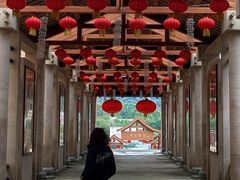 -广州神农草堂中医药博物馆
