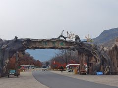 -龙道沟景区