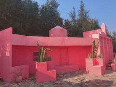 -北海金海湾红树林生态旅游区